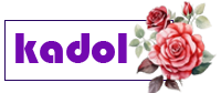گل فروشی خرم آباد