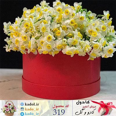 baksegol-319.jpg