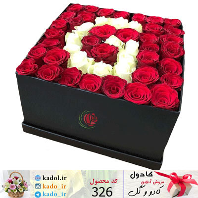 baksegol-326.jpg